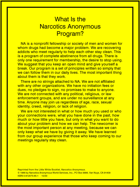 What Is the Narcotics Anonymous Program